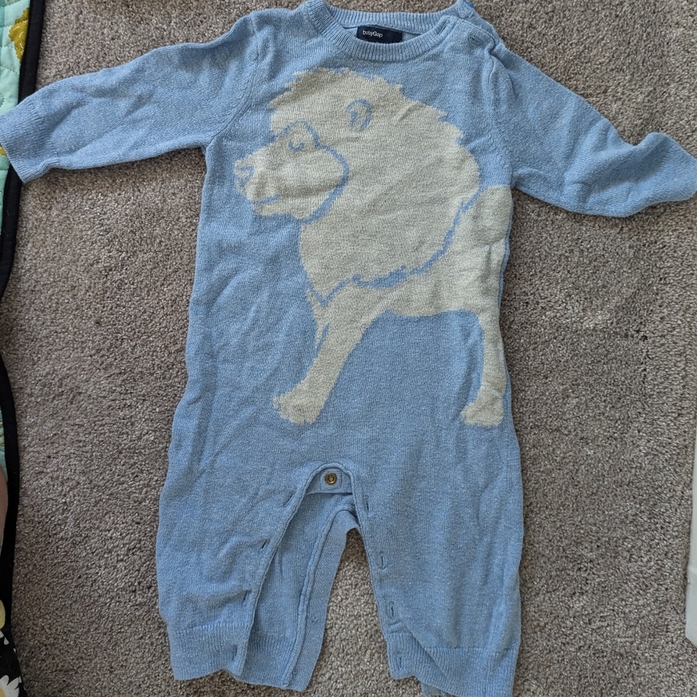 Baby Gap Sweater